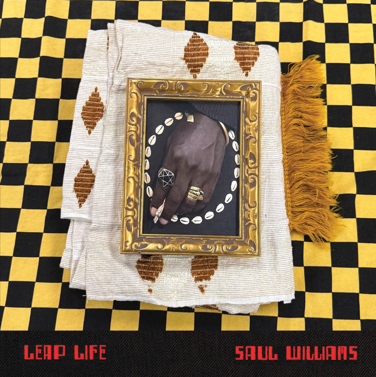 Saul Williams - Leap Life - 2LP
