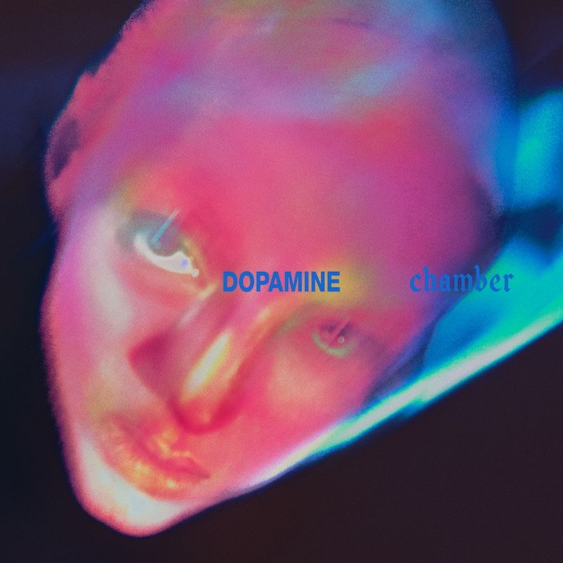 Fontaines D.C. - Dopamine Chamber - LP