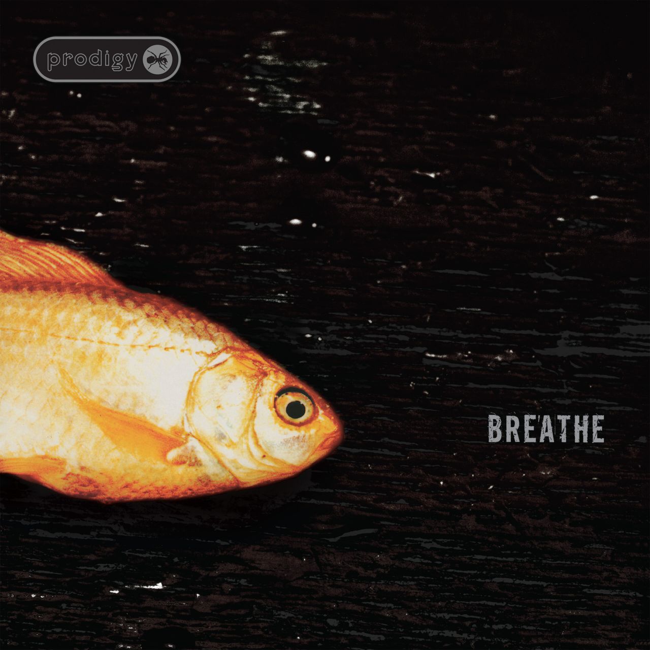 The Prodigy - Breathe - 12"