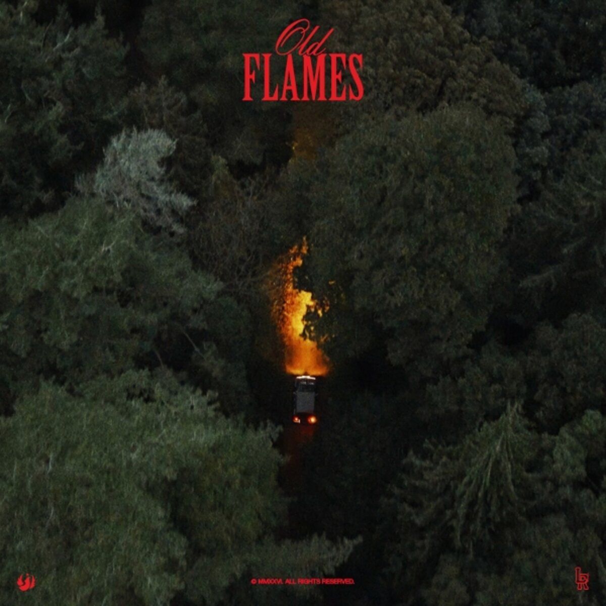 La Roux - Old Flames - LP